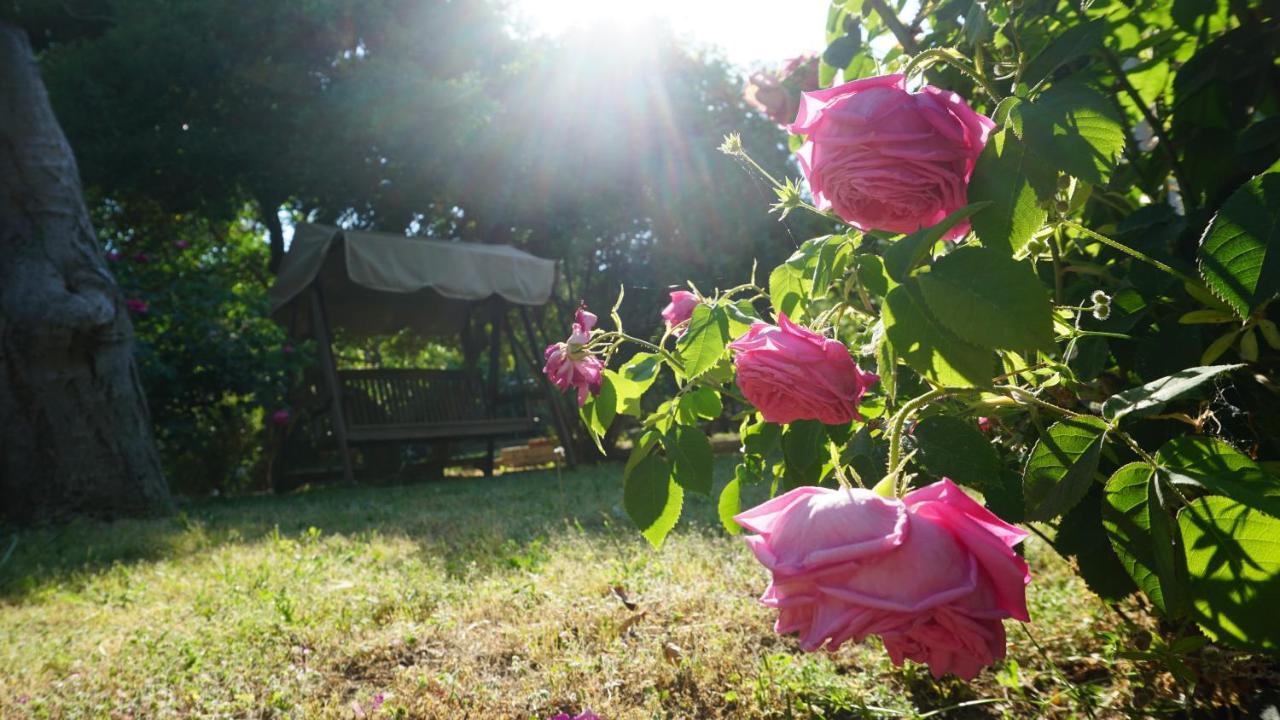 Kavet Palio Cottage PalaiónTsiflíkion Eksteriør bilde