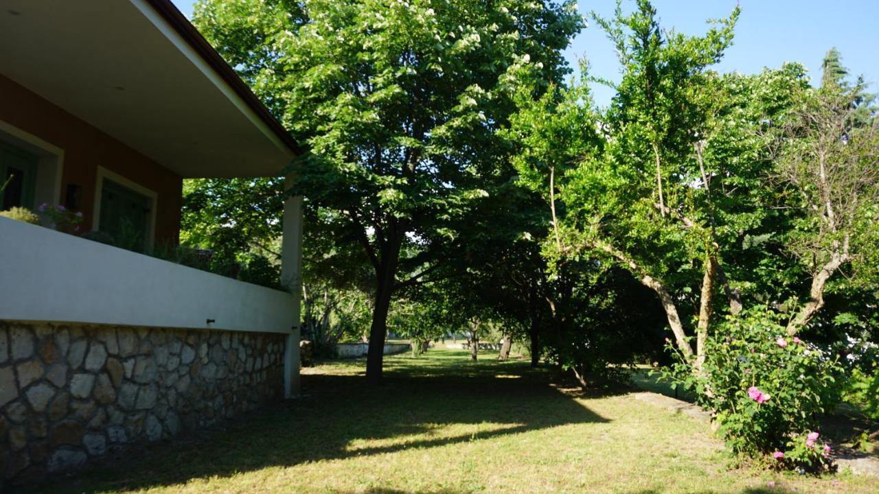 Kavet Palio Cottage PalaiónTsiflíkion Eksteriør bilde